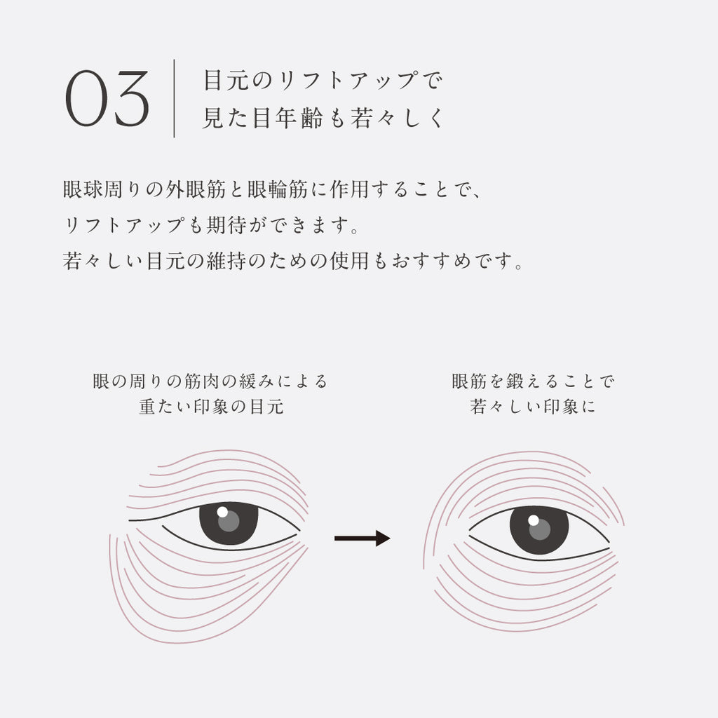 キャッチアイESパッド（取替え用）
