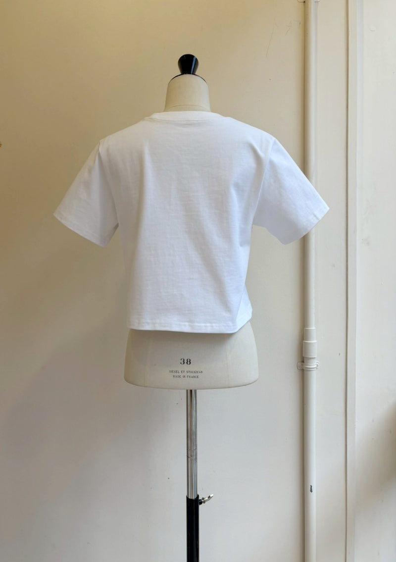 【再販】レースアクセントコンパクトT