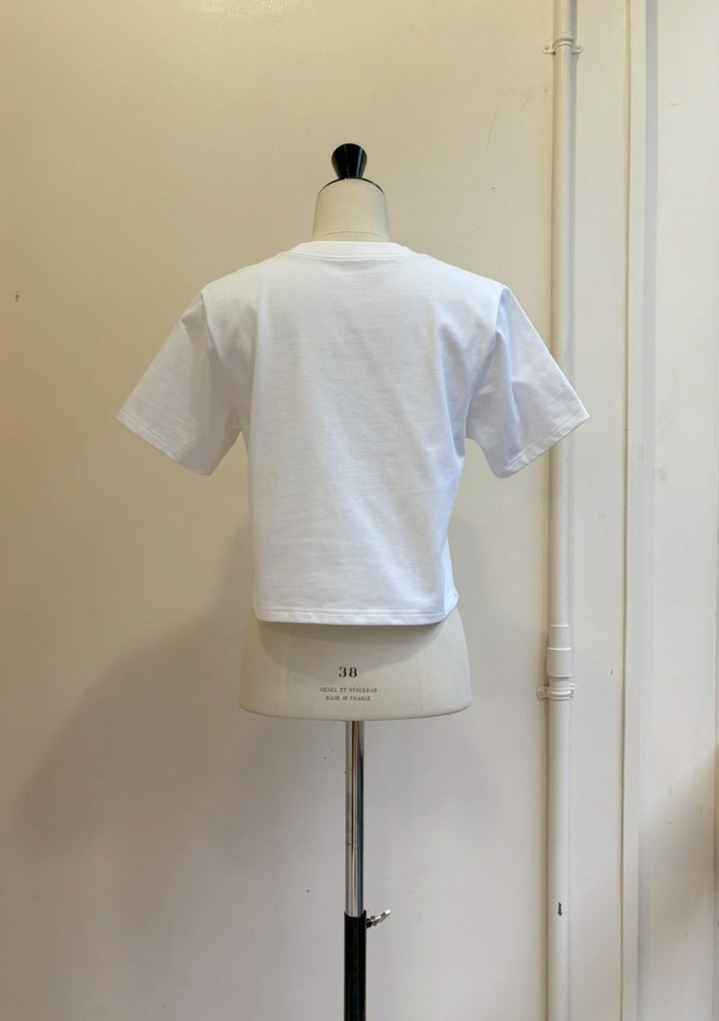 【再販】レースアクセントコンパクトT